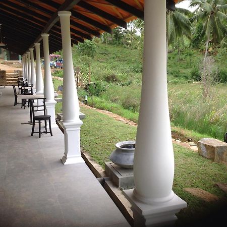 Explore Sinharaja Rain Forest Tour Camp Dombagoda Esterno foto