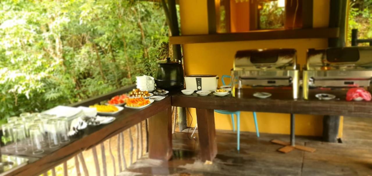 Explore Sinharaja Rain Forest Tour Camp Dombagoda Esterno foto