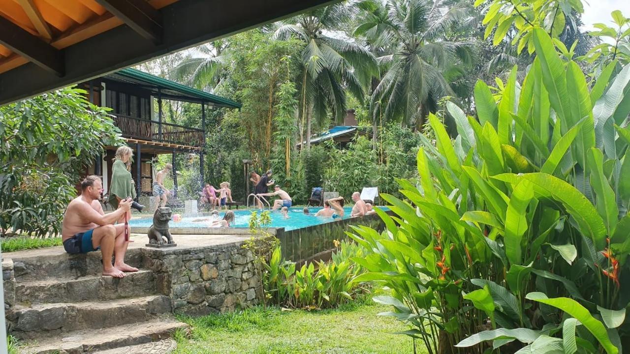 Explore Sinharaja Rain Forest Tour Camp Dombagoda Esterno foto