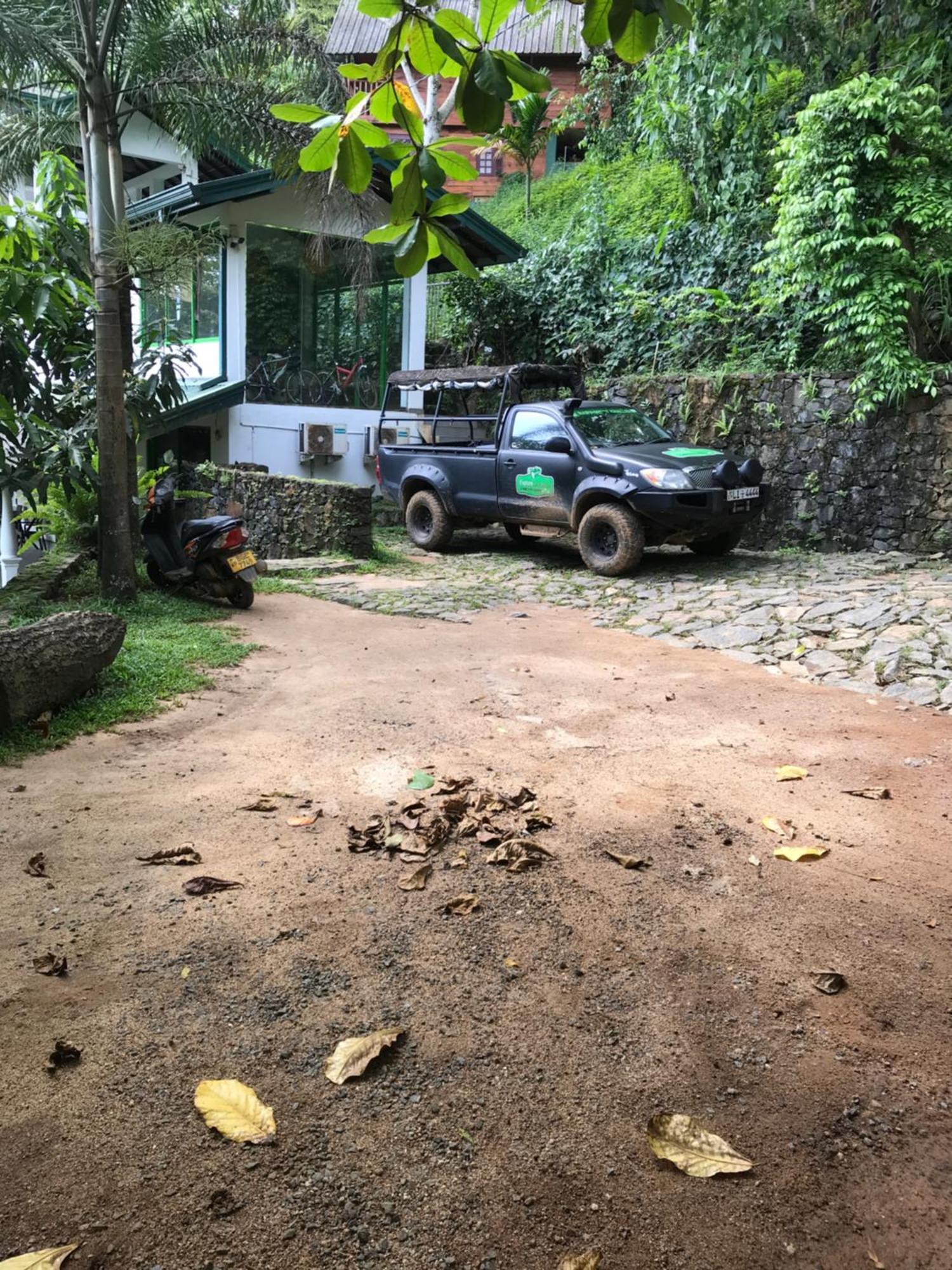 Explore Sinharaja Rain Forest Tour Camp Dombagoda Esterno foto