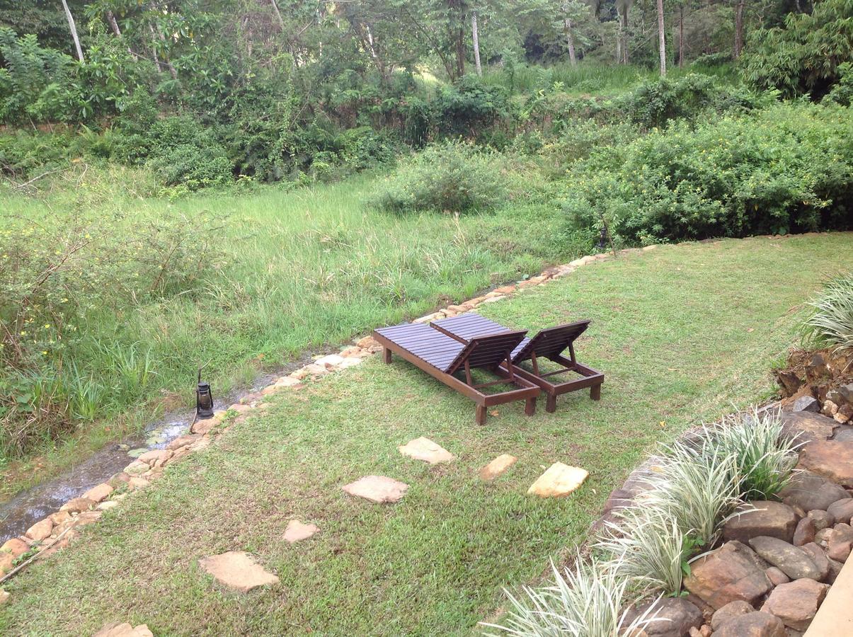 Explore Sinharaja Rain Forest Tour Camp Dombagoda Esterno foto
