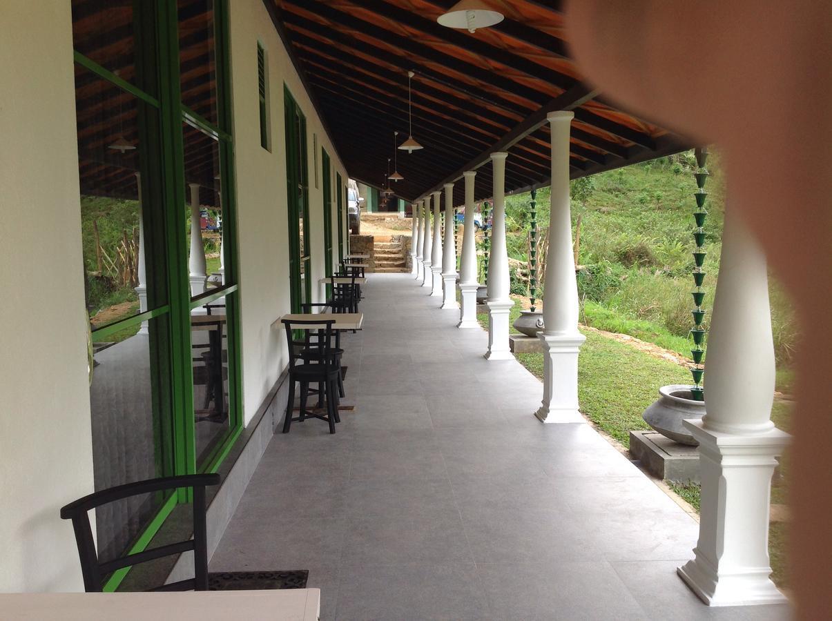 Explore Sinharaja Rain Forest Tour Camp Dombagoda Esterno foto