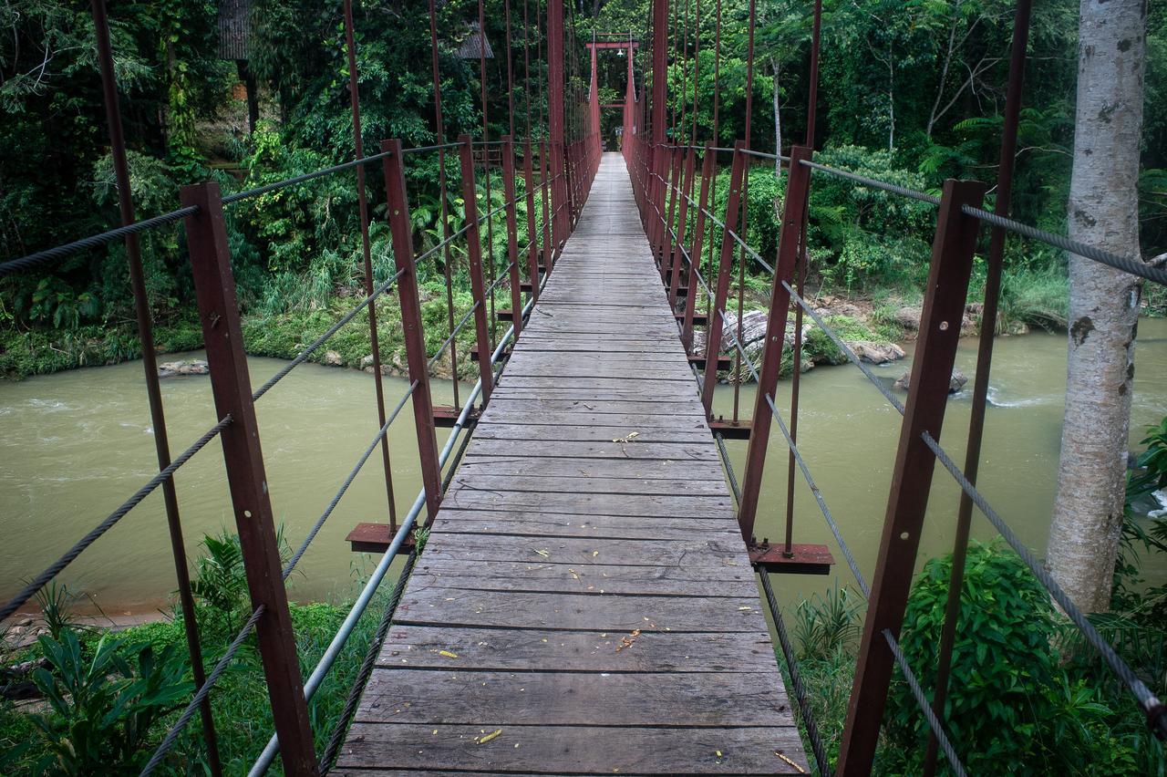 Explore Sinharaja Rain Forest Tour Camp Dombagoda Esterno foto