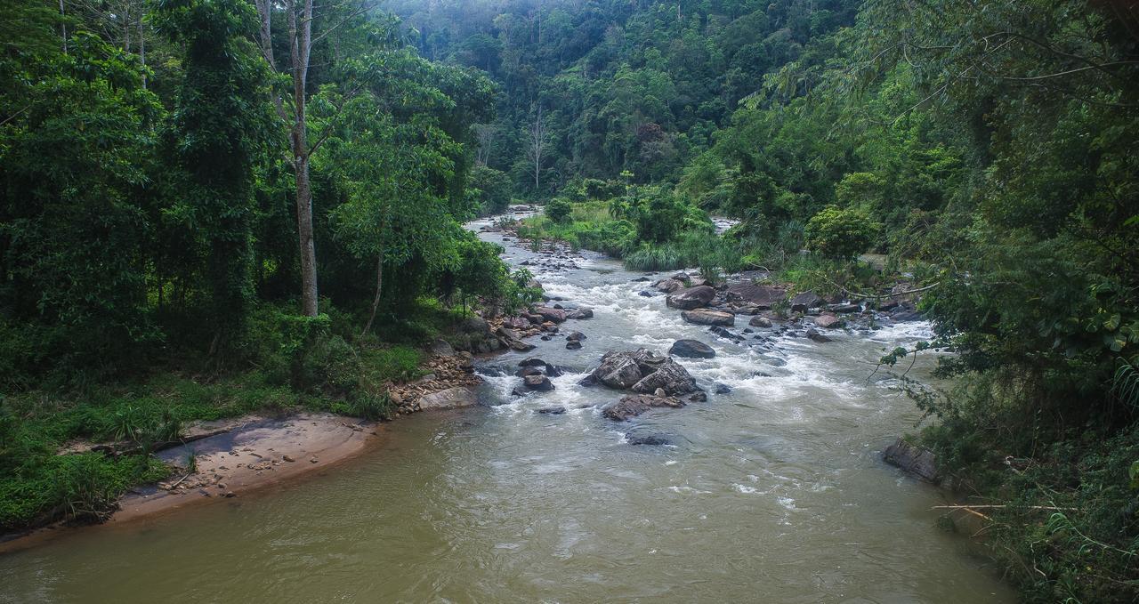Explore Sinharaja Rain Forest Tour Camp Dombagoda Esterno foto