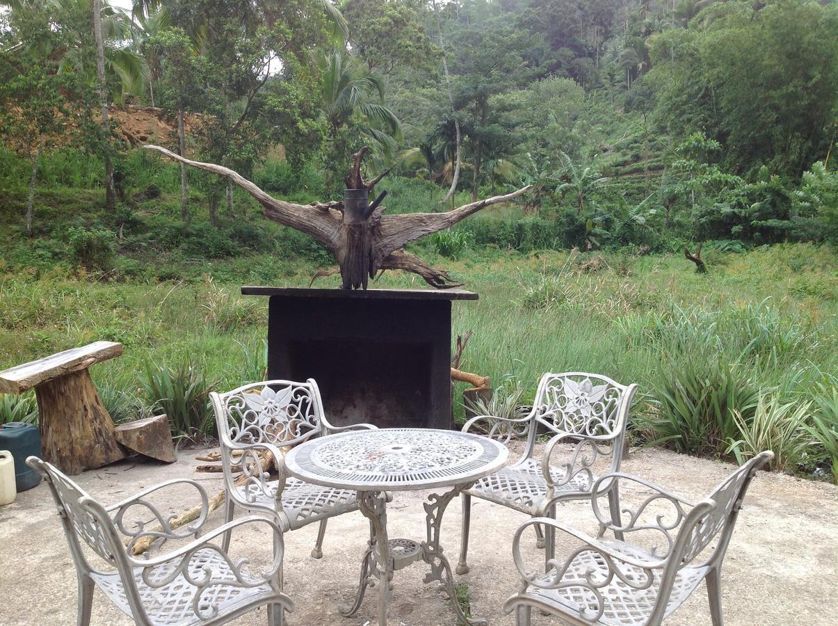 Explore Sinharaja Rain Forest Tour Camp Dombagoda Esterno foto