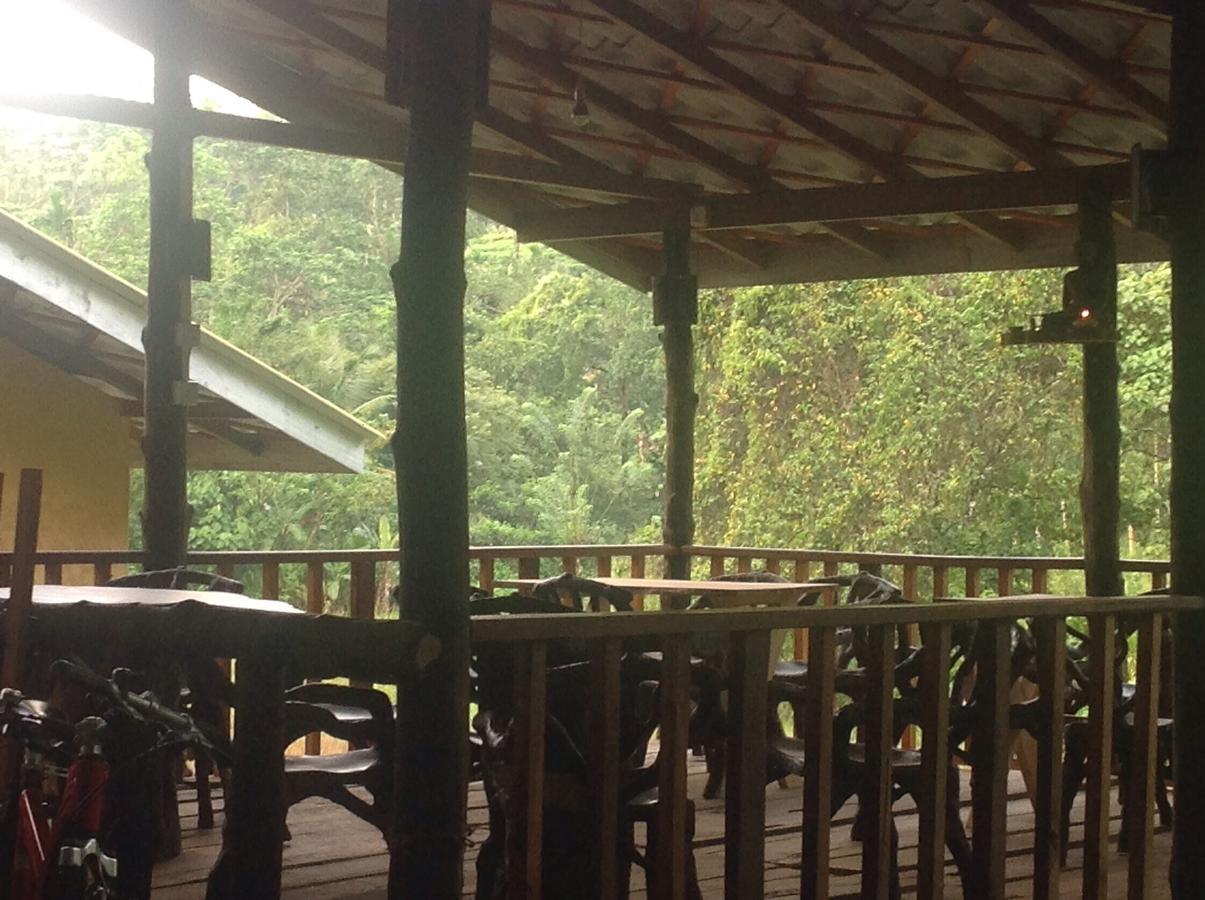 Explore Sinharaja Rain Forest Tour Camp Dombagoda Esterno foto
