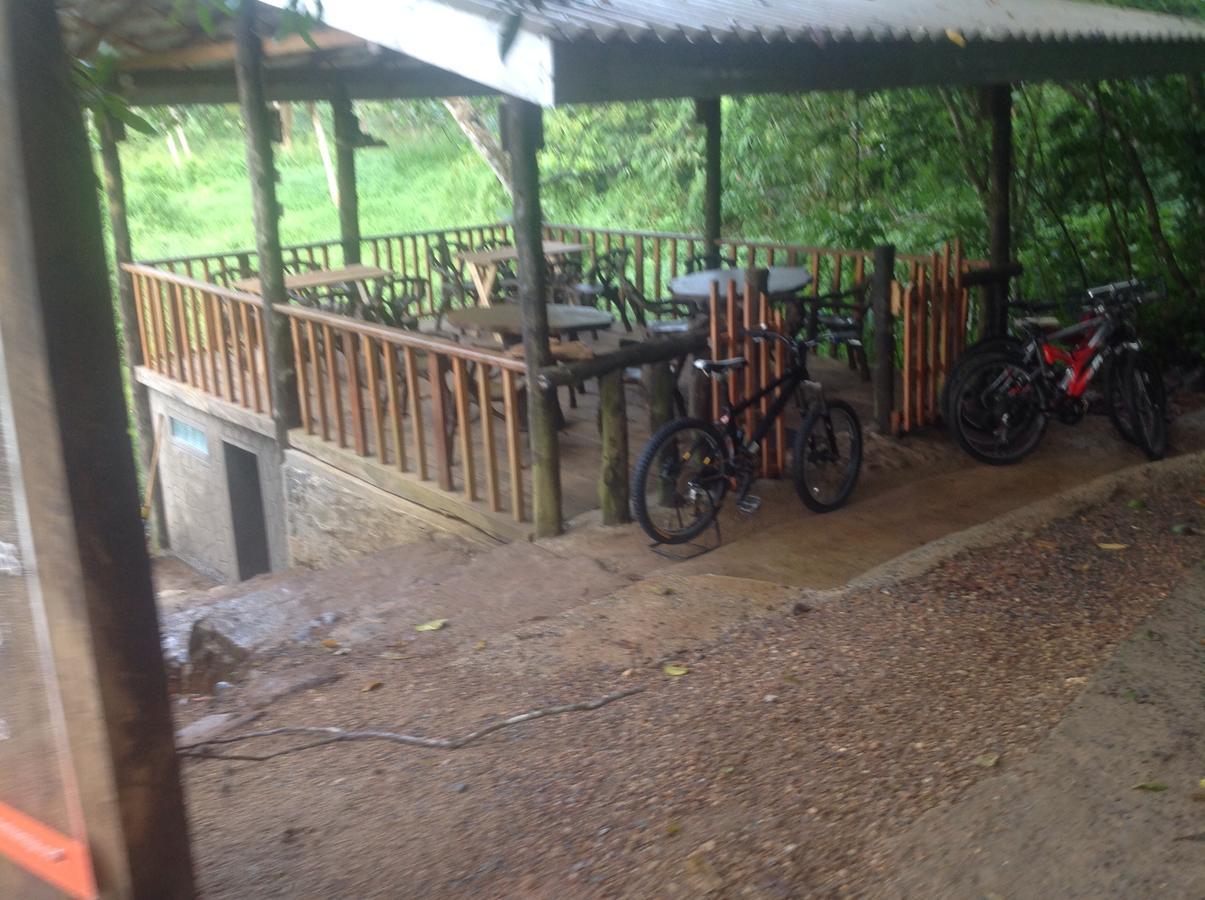 Explore Sinharaja Rain Forest Tour Camp Dombagoda Esterno foto