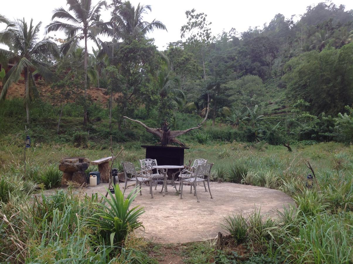 Explore Sinharaja Rain Forest Tour Camp Dombagoda Esterno foto
