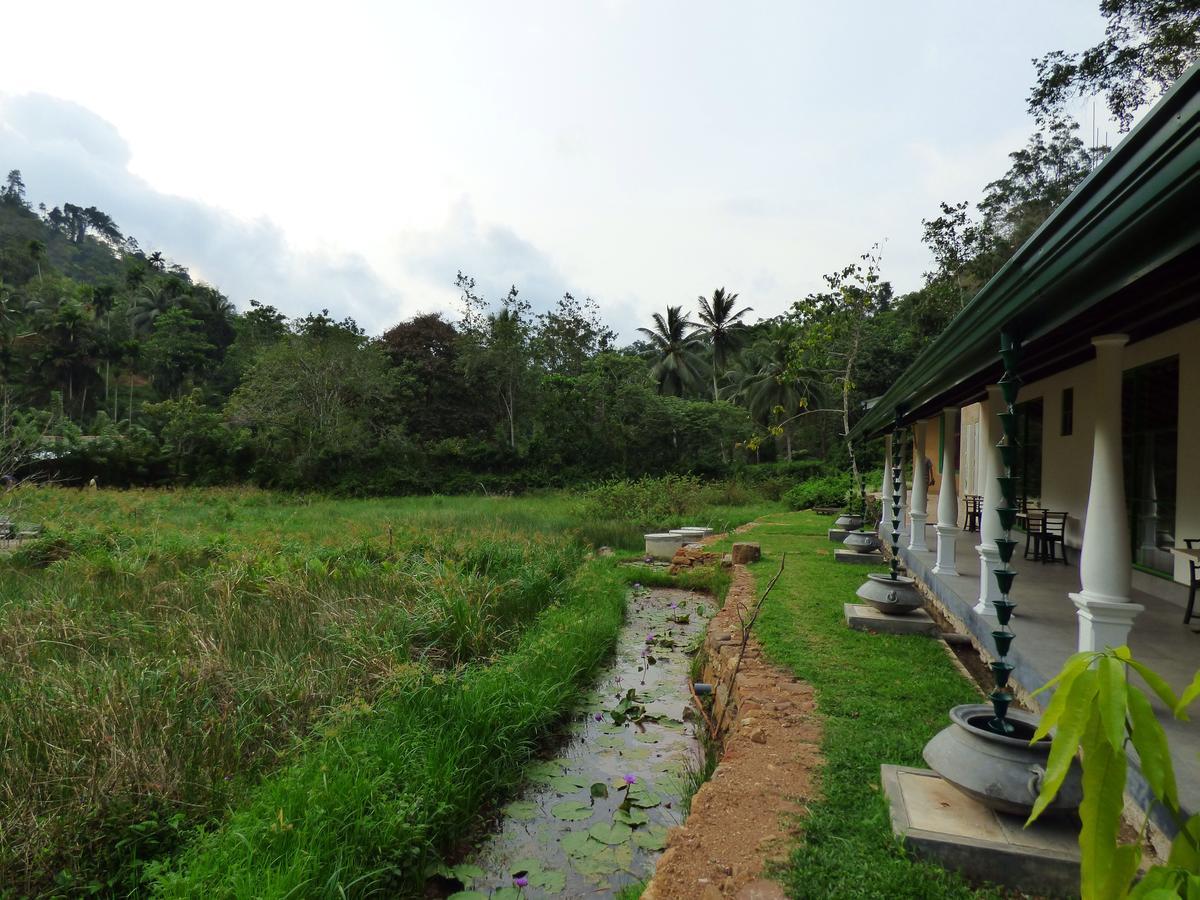 Explore Sinharaja Rain Forest Tour Camp Dombagoda Esterno foto