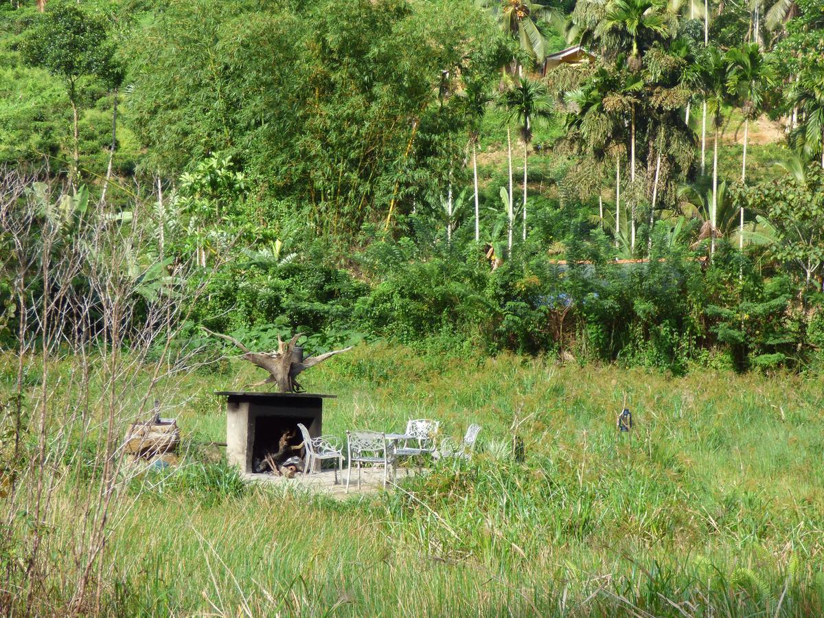 Explore Sinharaja Rain Forest Tour Camp Dombagoda Esterno foto