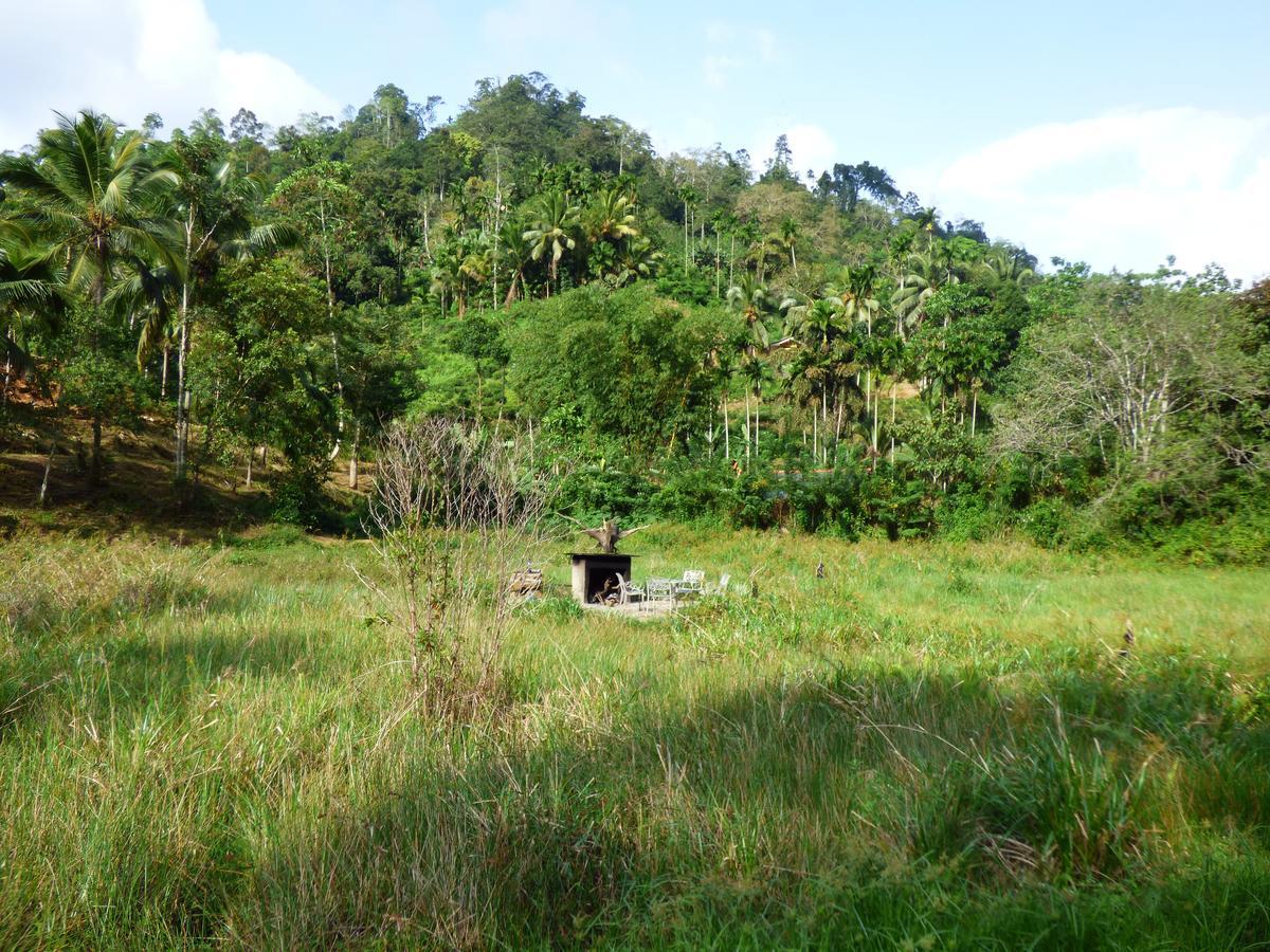 Explore Sinharaja Rain Forest Tour Camp Dombagoda Esterno foto