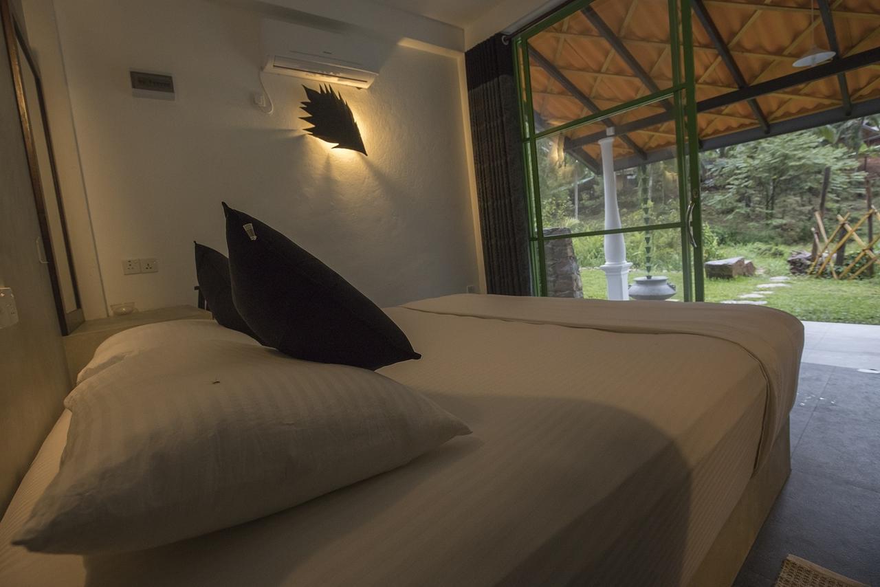 Explore Sinharaja Rain Forest Tour Camp Dombagoda Esterno foto