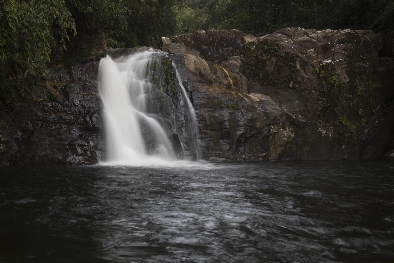 Explore Sinharaja Rain Forest Tour Camp Dombagoda Esterno foto