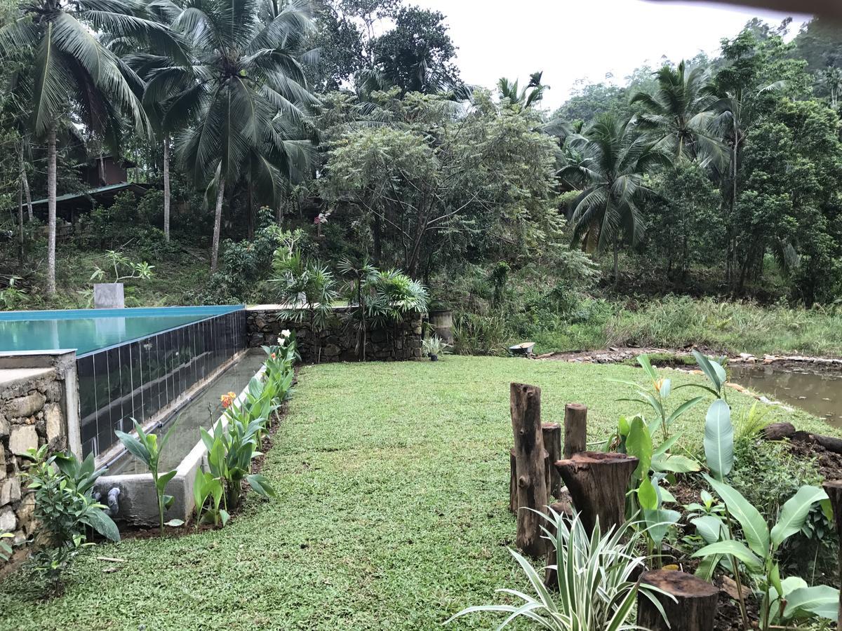 Explore Sinharaja Rain Forest Tour Camp Dombagoda Esterno foto