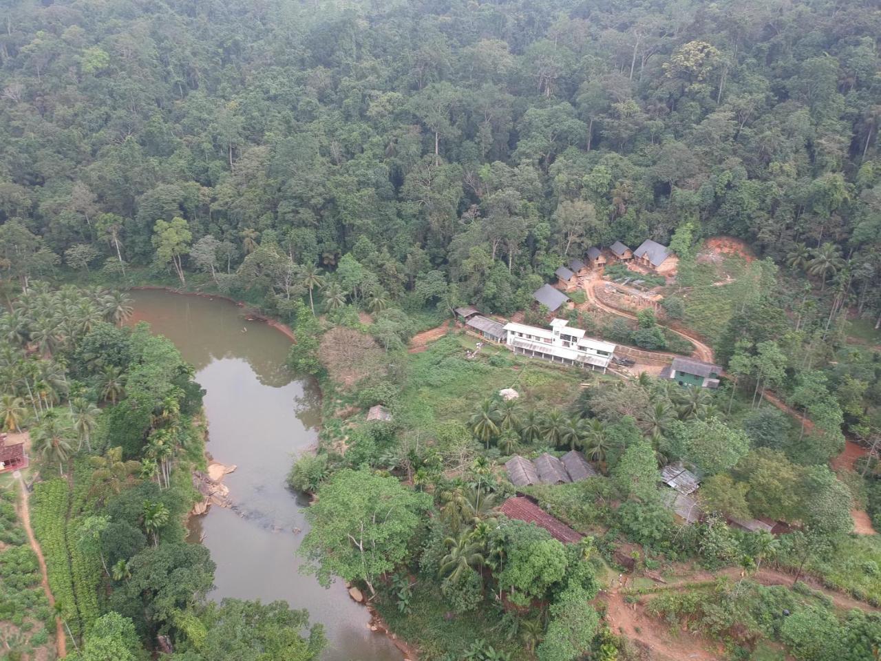 Explore Sinharaja Rain Forest Tour Camp Dombagoda Esterno foto