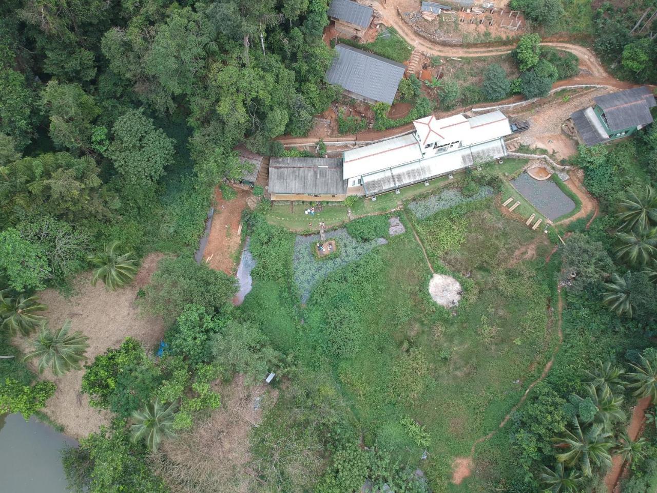 Explore Sinharaja Rain Forest Tour Camp Dombagoda Esterno foto