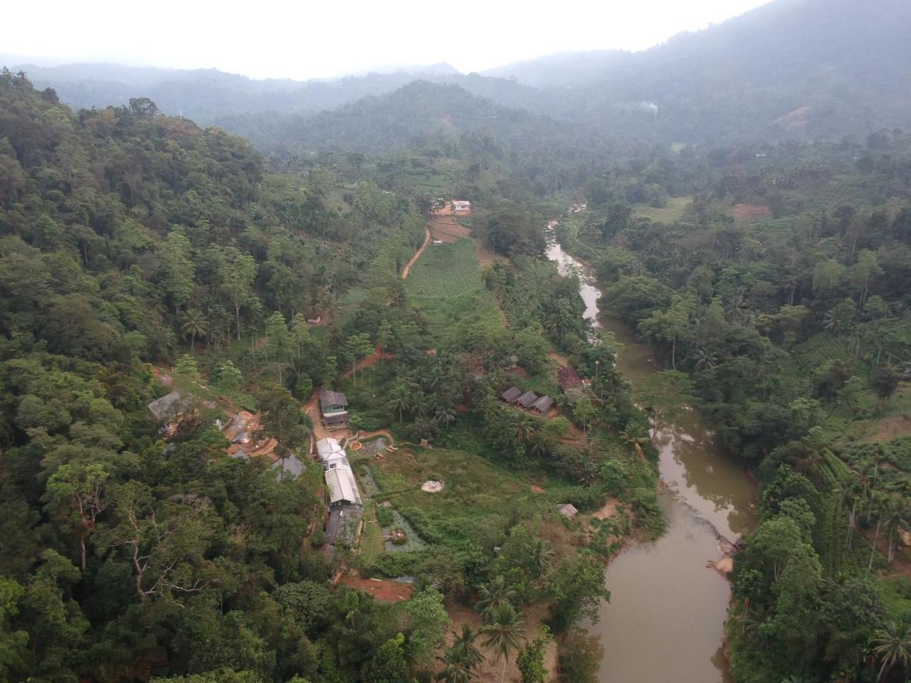 Explore Sinharaja Rain Forest Tour Camp Dombagoda Esterno foto